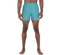 Nike Core Swim Shorts Mens Cactus Poussiéreux L Male