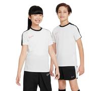 Nike Dri-Fit Academy23 White/Black/Bright Crimson 60
