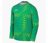 Nike Dri-Fit Gardien VI Maillot De Gardien De Foot À Manches Longues pour Homme, Stadium Green/White, HV8306-324, M