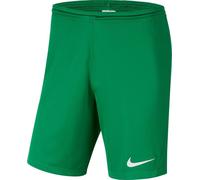 Nike Dri-FIT Park III Shorts M Vert