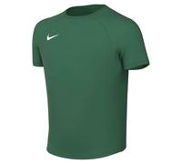 NIKE Dri-Fit Park VIII T-Shirt pour Enfants Pine Green/White 8/10 Ans