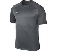 Nike Dry Team Trophy III Football T-Shirt Homme Cool Grey/Dark Grey/Dark Grey/Blanc FR : L (Taille Fabricant : L)