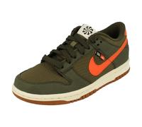 Nike Dunk Low Se Gs Trainers Dc9561 300 - 36 1/2