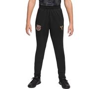 Nike FC Barcelona Strike Pantalon Jr 26/27 Noir/Violet 122-128