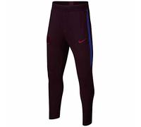 Nike FCB Y NK Dry Strk Pant KP, Unisexe Enfant S Bordeaux/Bleu Roi/Rouge (Burgundy Ash/Deep Royal Blue/Noble Red)