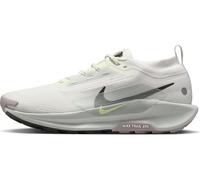 Nike FQ0908-102 Nike Pegasus Trail 5 Gore-TEX Homme Summit White/Sequoia-Light Silver EU 45