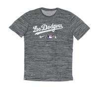 Nike, Homme, Tops, Gris, Taille: L Dodgers Baseball Tee d'entraînement City Connect