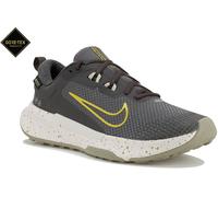 Nike Juniper Trail 2 Gore-Tex Chaussures homme Juniper Trail 2 Gore-Tex 45.5 Gris/argent