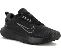 Chaussures de trail Nike Juniper 2 Gore-Tex Noir 46 Male