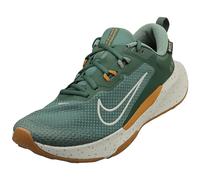 Nike Juniper Trail 2 Gore-Tex V2 Argent Vert Hommes - 42.5 EU