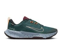 Nike Juniper Trail 2 GTX V2 (HM9725 300) Baskets Damen Chaussures de Loisir Neuf