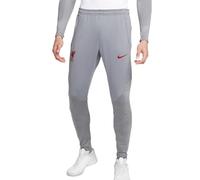 Nike Liverpool FC Pantalon d'entrainement Gris/Rouge Homme 2022/2023