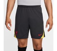 Nike FC Liverpool Strike short 3ème gris F070 S