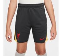 Nike Liverpool Strike Third Shorts 2024 2025 Juniors Gris 13 (TG) Male