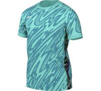 Nike M NK DF Gardien V Gk JSY SS Haut à Manches Courtes Homme