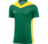 Nike Park Derby IV maillot vert jaune F303 M
