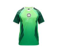 NIKE Maillot 'NFF STAD HM' vert / vert fluo / vert clair / blanc, Taille L