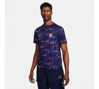 Nike Men's Shirt Ent M NK DF Acdpr SS Top PM, Purple Ink/Purple Ink/Sesame, FJ2725-555, 3XL