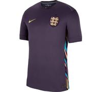 Nike Men's Shirt Ent M NK DF Stad JSY SS Aw, Dark Raisin/Sesame, FJ4272-573, S