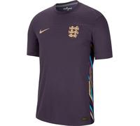 Nike Men's Shirt Ent Mnk Dfadv Match Jsyss Aw, Dark Raisin/Sesame, FJ4259-573, M