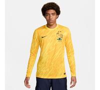 Nike Men's Shirt FFF M NK DF Stad JSY Ls Gk, Tour Yellow/University Gold/Black, FJ4289-719, S