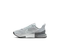 Nike Mens Training Shoe M Air Max Alpha Trainer 6, Cool Grey/White-Wolf Grey-Pure Platinum, FQ1833-002, 41 EU (M 8 US)