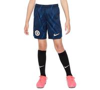 Nike Mid Thigh Length Short Cfc Y NK DF Stad Short Aw, Soar/White, DX2778-427, L
