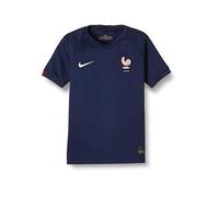 Nike Mixte enfant Fff Breathe Stadium Maillot Domicile Chaussures de Football, Vert (Midnight Navy/P488c), 140 EU