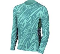 Nike Mixte Enfant Long Sleeve Top Y NK DF Gardien V Gk JSY Ls, Hyper Turq/Teal Nebula/White, FD7480-354, S