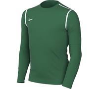 Nike Mixte Enfant Long Sleeve Top Y NK DF Park20 Crew Top R, Pine Green/White/White, FJ3008-302, L