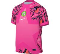 Nike Nigeria 2026 Stadium Gardien de But Maillot de Foot À Manches Courtes Replica Nike Dri-fit pour Homme Réplique de Maillot de Football à Manches Courtes Homme