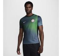 Nike Nigeria Academy Pro Home Pre Match 2024 Shirt Adults Gris 2XL Male
