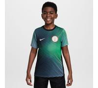 Nike Nigeria Academy Pro Home Pre Match 2024 Shirt Junior Gris 9 - 10 ans Male