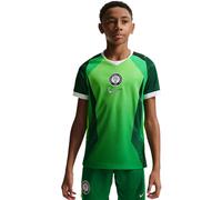 Nike Nigeria Domicile Maillot Jr 26/2028 Vert/Vert Foncé 137-147