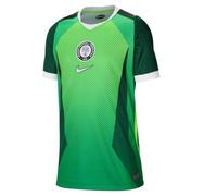 Nike Nigeria Home Maillot Homme S - WM 2026 World Cup Fan Jersey NK Dri-FIT Stadium Shirt, Pine Green/Electric Green/White