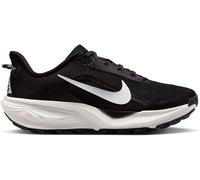 Nike Nike Baskets de course Pegasus Roads