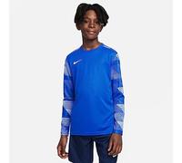 Nike Nike Dri-fit Park Iv Goalkeeper Jersey Mixte Enfant