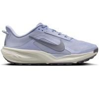 Nike Nike Grey Pegasus Road Running Trainers
