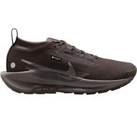 Nike Pegasus Trail 5 Gore-Tex Running Shoes Womens Pierre de fer/Gris 6 (40) Female
