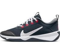 Nike Omni Multi-Court Chaussure de Marche, Obsidienne foncée, Gris fumé, Blanc Crimson Brillant, 36.5 EU