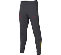 Nike Pantalon Unisexe pour Enfant LFC Y NK DF Strk Kpz3r