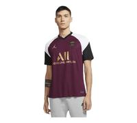 Nike Paris Saint-Germain BRT Stad 3R Maillot Homme, Rouge (Bordeaux/Truly Gold), L