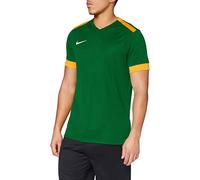 Nike Park Derby II Jersey SS Maillot Homme Pine Green/University Gold/White FR: L (Taille Fabricant: L)