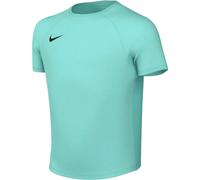 Nike Park VIII Dri-FIT Training Shirt Kids 128-137 Turquoise/Noir