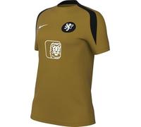NIKE Pays-Bas Strike Haut De Foot À Manches Courtes Dri-Fit pour Femme, Bronzine/Bronzine/Black/White, FZ9601-717, L