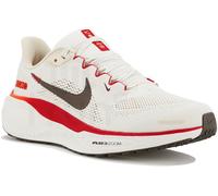 Nike Pegasus 41 Blanc 42