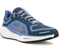 Nike Pegasus 41 Gore-Tex Bleu 40