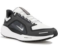 Nike Pegasus 41 Gore-Tex Gris/argent 40