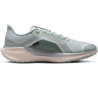 Nike Pegasus 41 Gore-Tex Men's Waterproof Road Running Shoes Mens Lt Pumice/Silv 7 (41) Male