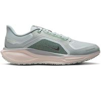 Nike Pegasus 41 Gore-Tex Men's Waterproof Road Running Shoes Mens Lt Pumice/Silv 9 (44) Male